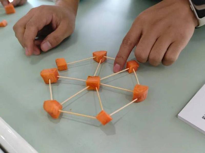 菠菜搭建;菠菜搭建是什么意思 菠菜搭建;菠菜搭建是什么意思