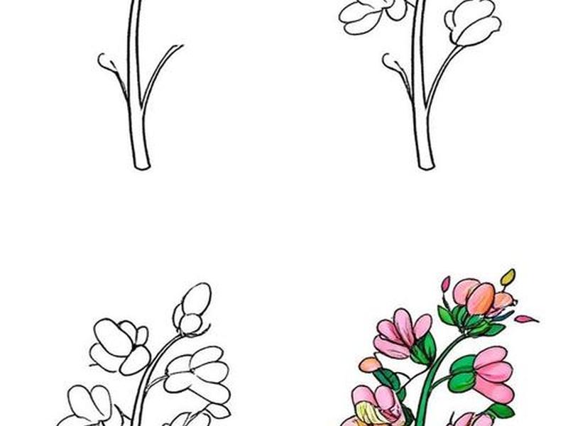 初学者简笔画、初学者简笔画花 初学者简笔画、初学者简笔画花