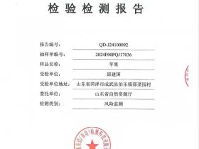 mac检测报告是什么意思、mac检测报告是什么意思啊