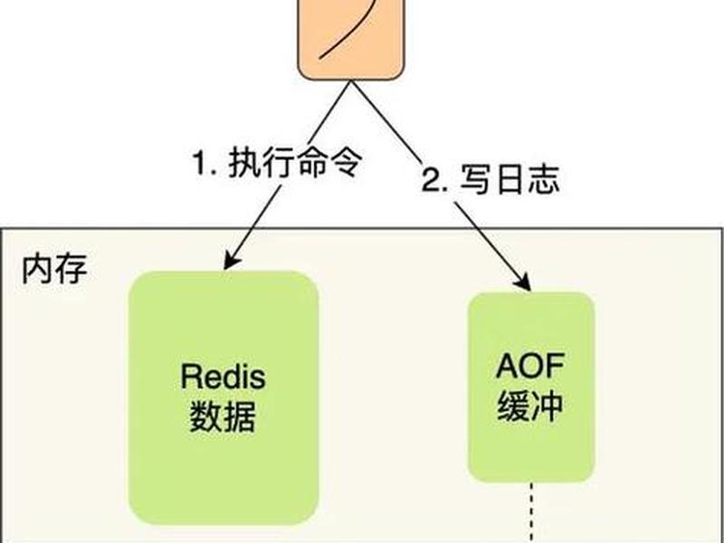后方交会建站，后方交会建站原理
