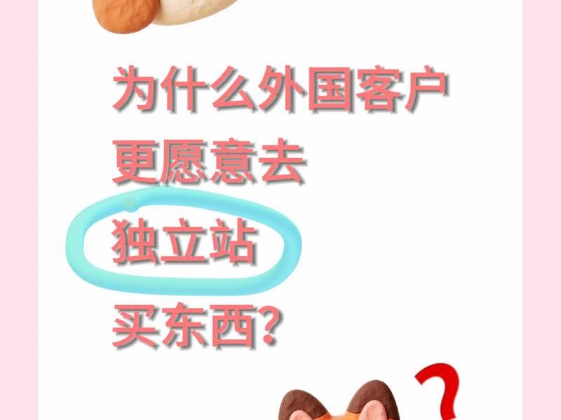 独立站怎么做起来 - 独立站怎么玩