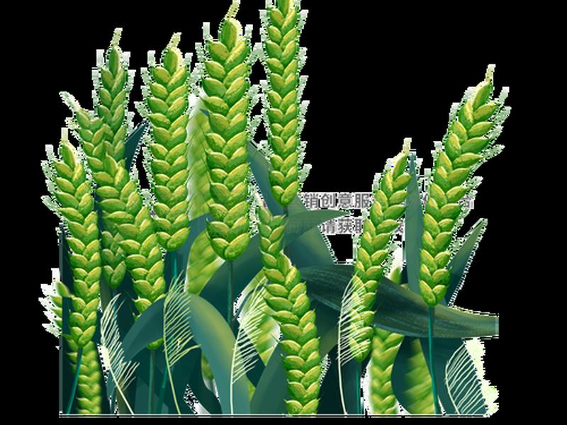 dreamweavercs5绿色破解版;dreamweaver cs6绿色版 dreamweavercs5绿色破解版;dreamweaver cs6绿色版