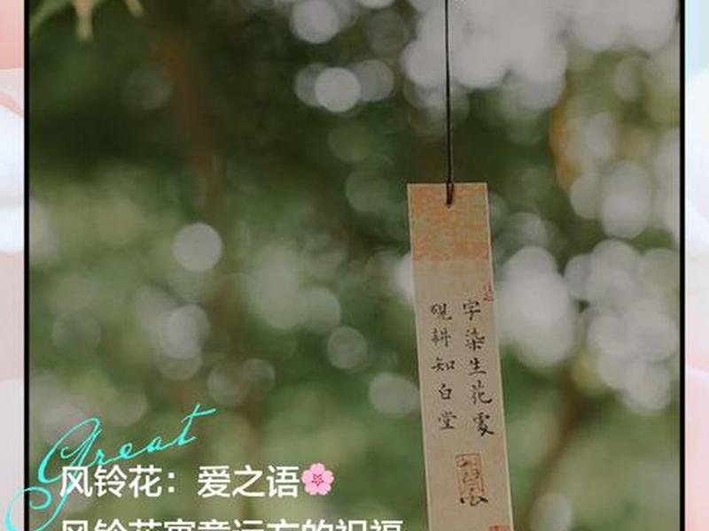 风铃策划案例 - 风铃节策划主题 风铃策划案例 - 风铃节策划主题