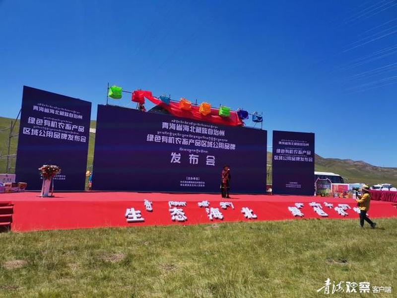 海北搭建网站 海北搭建网站的公司 海北搭建网站 海北搭建网站的公司