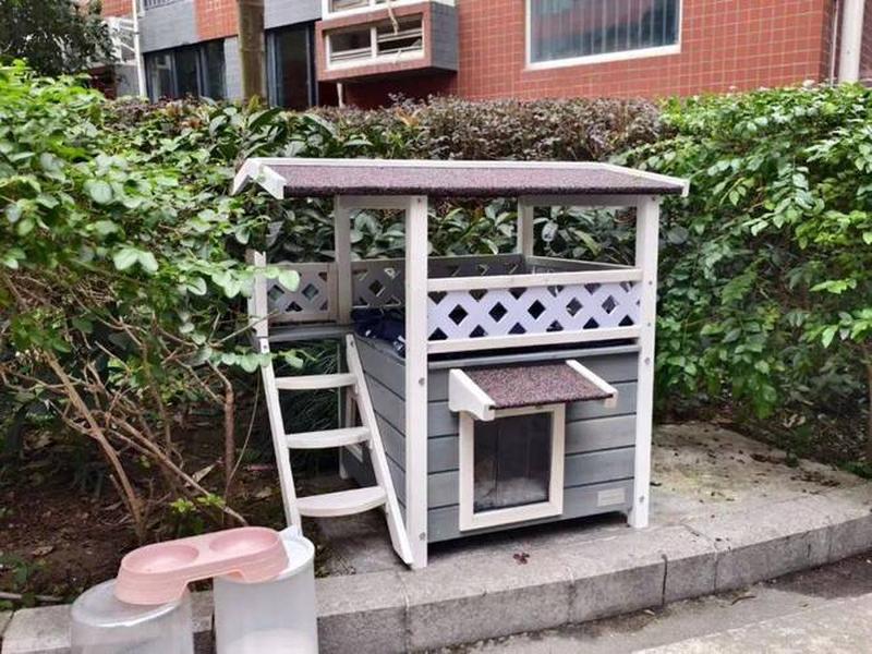 搭建猫屋过程文字(搭建猫屋过程文字描述) 搭建猫屋过程文字(搭建猫屋过程文字描述)