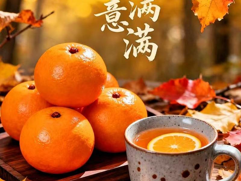 橙子建站广告投放技巧 - 橙子建站广告怎么投放 橙子建站广告投放技巧 - 橙子建站广告怎么投放