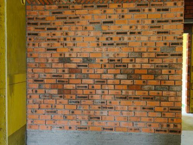 搬瓦工建站新手教程 - 搬瓦工建站新手教程图片 搬瓦工建站新手教程 - 搬瓦工建站新手教程图片