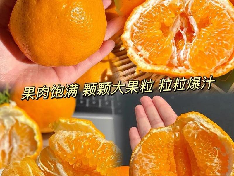 橘子建站教程、橘子建站和抖音怎么设置 橘子建站教程、橘子建站和抖音怎么设置