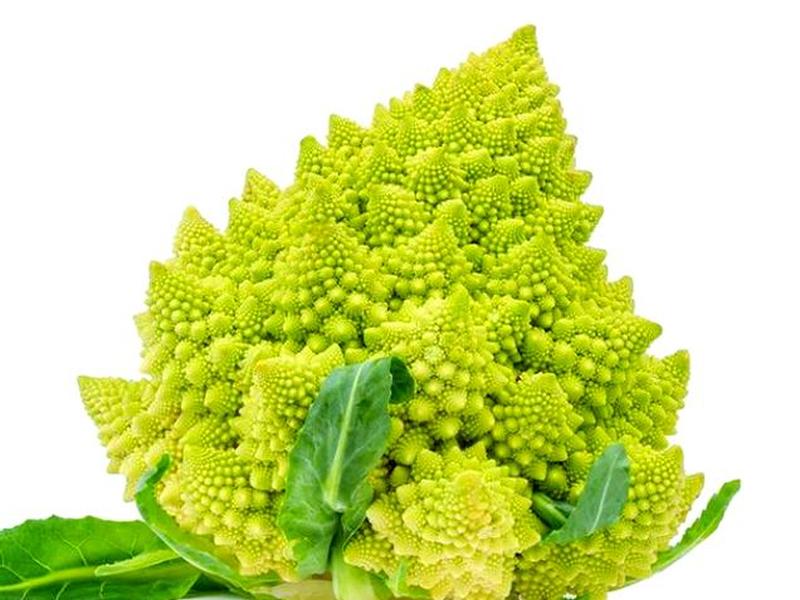 宝塔index.html、宝塔菜的功效与作用 宝塔index.html、宝塔菜的功效与作用