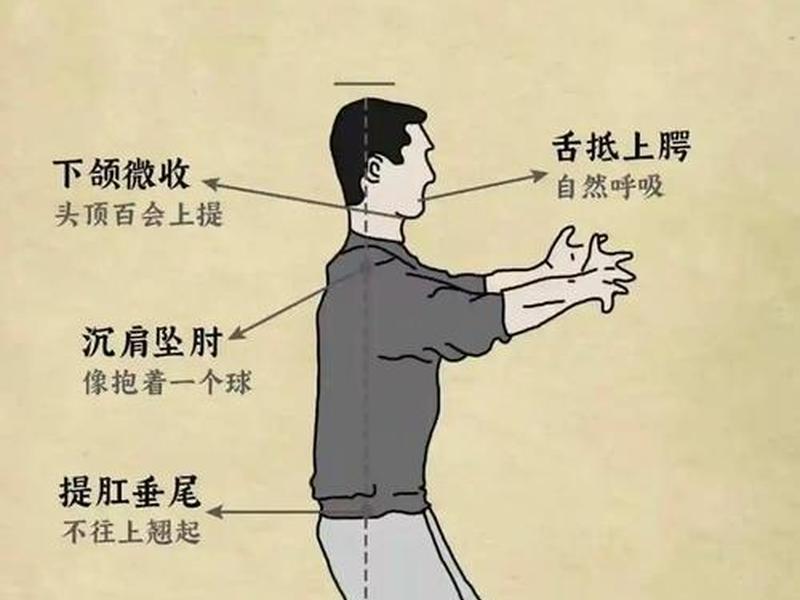 初学站桩的正确方法视频 初学站桩的正确方法视频教程 初学站桩的正确方法视频 初学站桩的正确方法视频教程