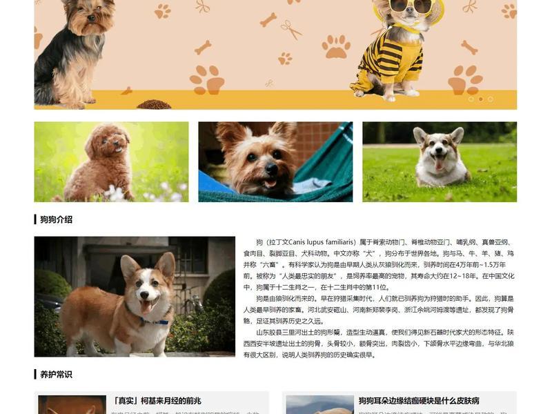 html菜鸟教程首页(菜鸟教程html5网页设计) html菜鸟教程首页(菜鸟教程html5网页设计)