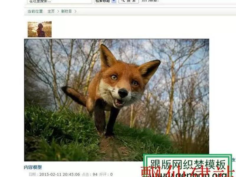 沧州织梦模板建站视频教程(织梦建站视频教程完整版) 沧州织梦模板建站视频教程(织梦建站视频教程完整版)