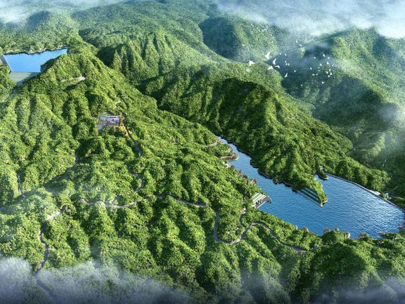 德化建厂 德化有什么新建的项目 德化建厂 德化有什么新建的项目