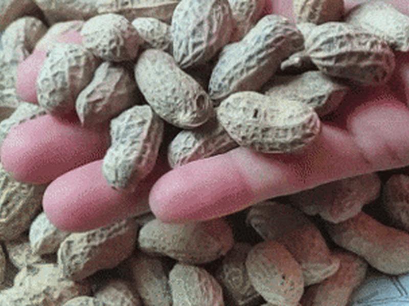 花生壳动态ip、花生壳动态域名怎么解析访问 花生壳动态ip、花生壳动态域名怎么解析访问