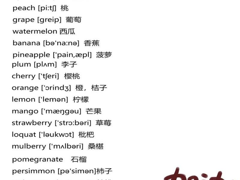 pineapple的音标、pineapples的音标