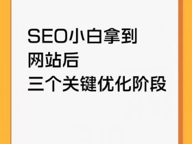 seo基础入门；seo零基础入门