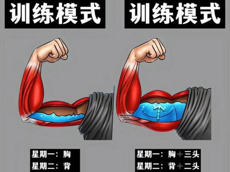 30分钟锻炼视频 - 30分钟锻炼视频教程 30分钟锻炼视频 - 30分钟锻炼视频教程