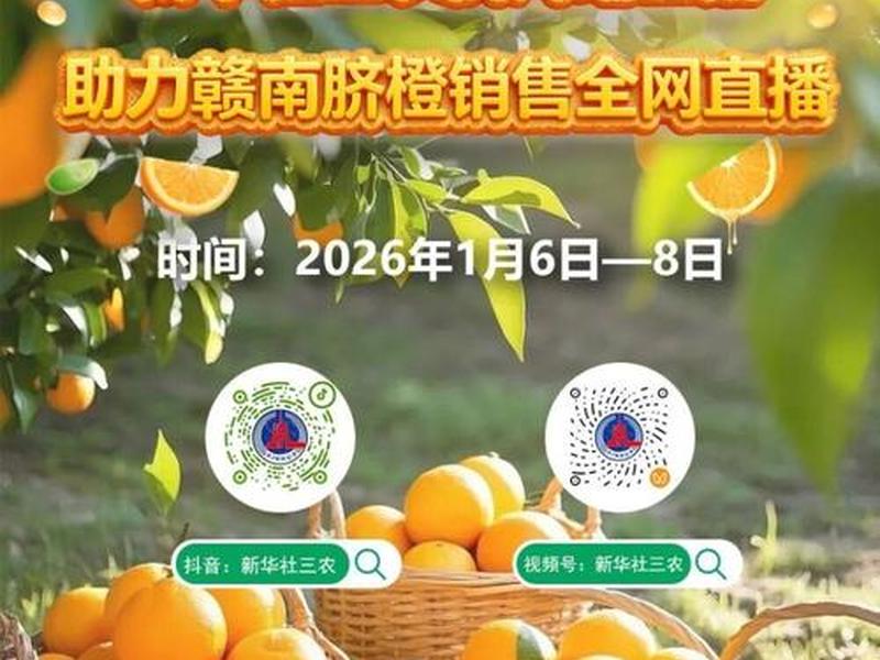 抖音推广橙子建站、抖音橙子建站网页推广 抖音推广橙子建站、抖音橙子建站网页推广