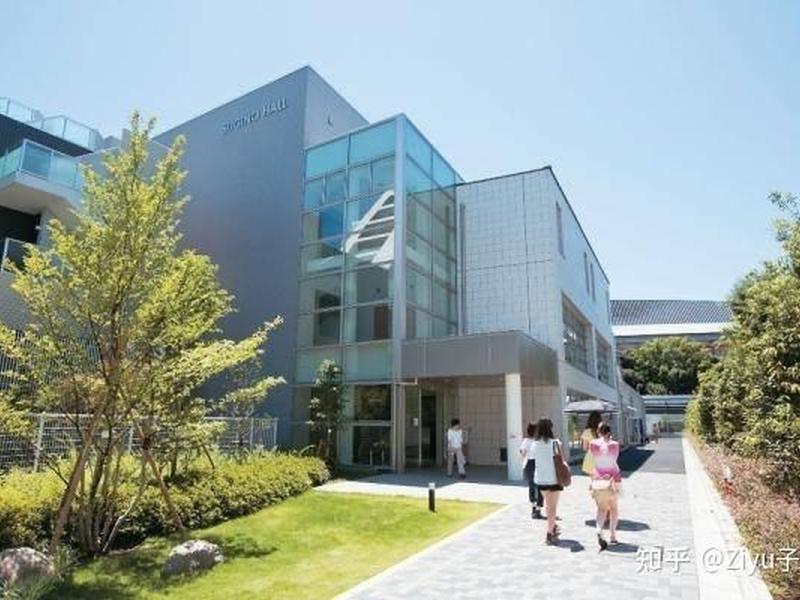 独立站在日本的市场大吗、日本独立站好做吗 独立站在日本的市场大吗、日本独立站好做吗