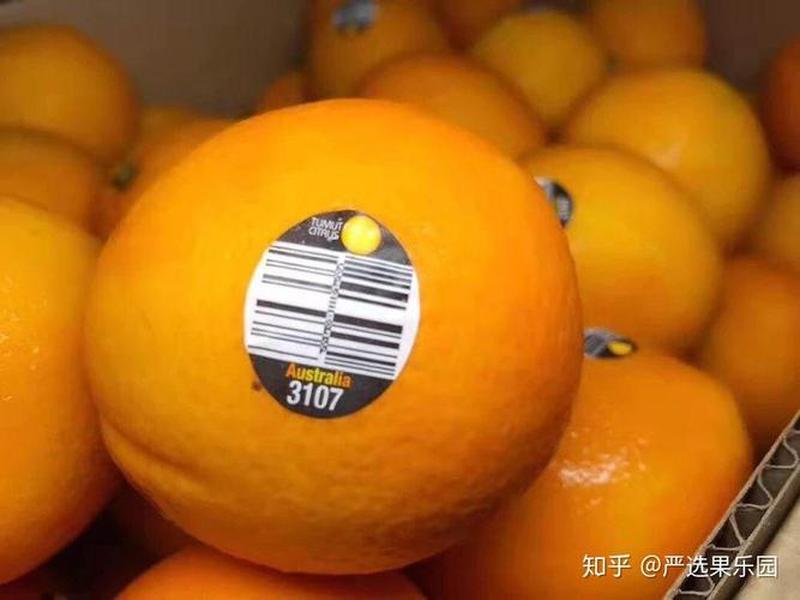 橙子建站如何自动跳转外部链接;橙子建站跳转淘宝 橙子建站如何自动跳转外部链接;橙子建站跳转淘宝