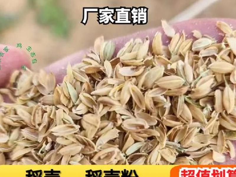 花生壳售后服务电话、花生壳售后服务电话是多少