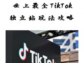 tiktok+独立站，tiktok独立站赚钱吗