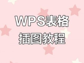 wps制作表格零基础入门、wps制作表格入门基础教程