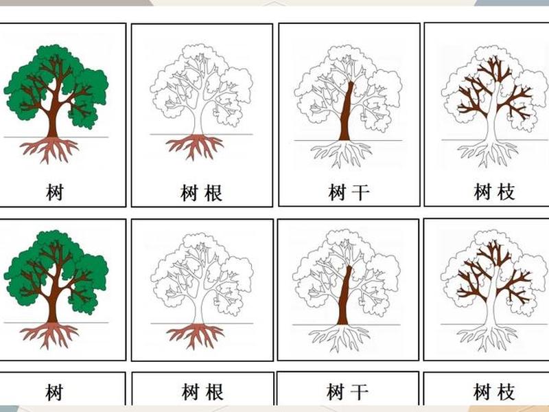 工程测量独立树（工程测量树的图例）