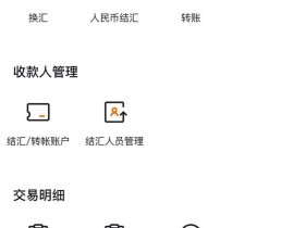 wordpresspaypal收款 wordpress paypal 收款