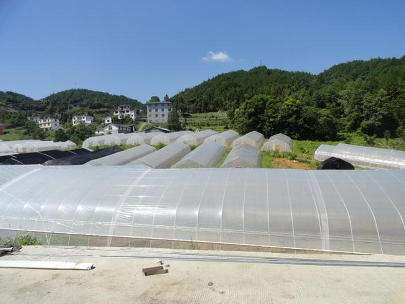 恩施建大棚 - 恩施大棚搭建 恩施建大棚 - 恩施大棚搭建