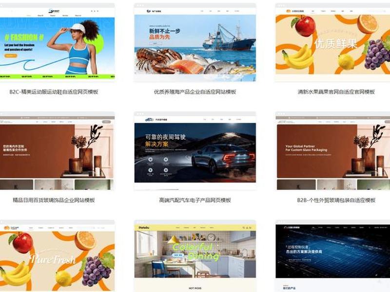 建站教程视频合集完整版,建站教程视频合集完整版下载 建站教程视频合集完整版,建站教程视频合集完整版下载