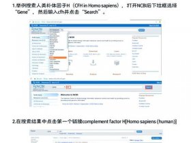 win8怎么安装itunes（win8怎么安装steam）