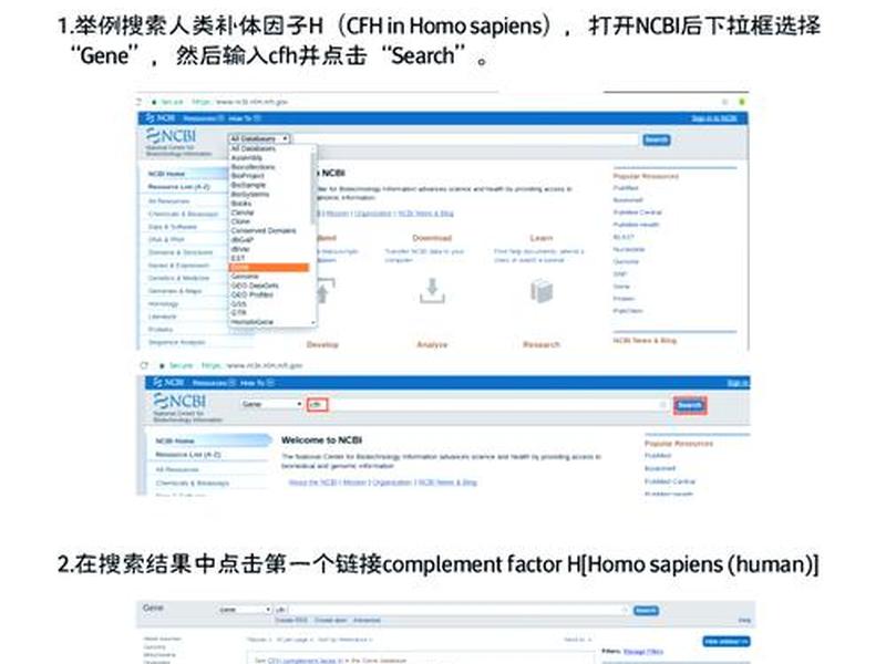 win8怎么安装itunes(win8怎么安装steam) win8怎么安装itunes(win8怎么安装steam)