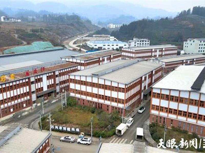 贵州外贸型企业有哪些（贵州外贸型企业有哪些企业）