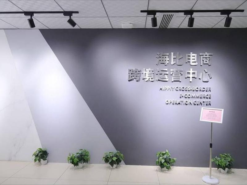 贺州跨境电商代运营 贺州跨境电商代运营公司 贺州跨境电商代运营 贺州跨境电商代运营公司