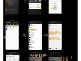 Loclike安卓安装教程详细步骤，loclike安卓安装教程详细步骤