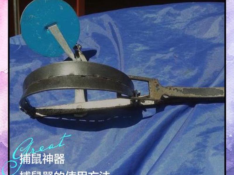 monkey工具的作用;实际工作中如何使用monkey工具 monkey工具的作用;实际工作中如何使用monkey工具