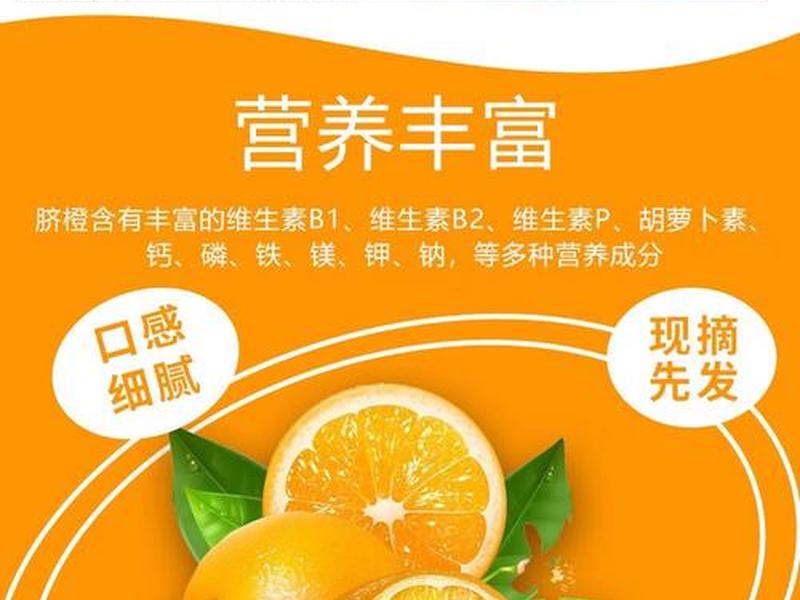 橙子建站官网客服电话 - 橙子建站官网联系电话 橙子建站官网客服电话 - 橙子建站官网联系电话