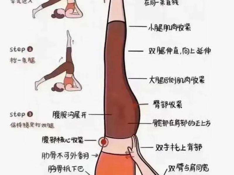 初学者肩肘倒立分解动作视频，初学者肩肘倒立分解动作视频教程