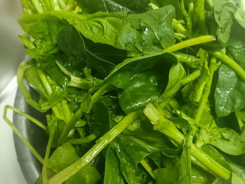 菠菜做法视频教程 菠菜做法视频教程大全 菠菜做法视频教程 菠菜做法视频教程大全