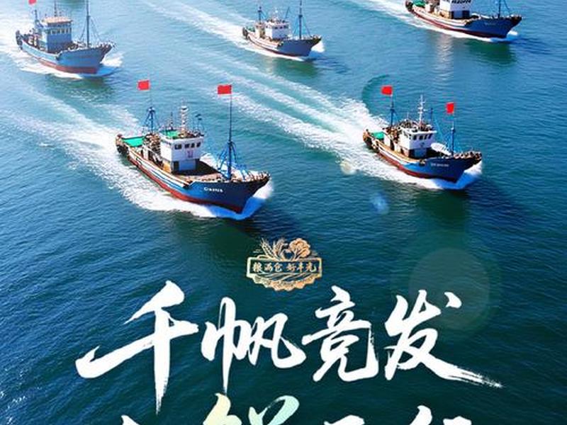 出海平台是什么意思、出海平台是什么意思网络用语 出海平台是什么意思、出海平台是什么意思网络用语