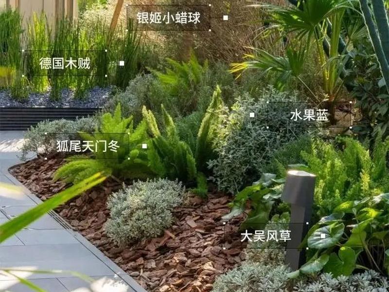 7天快速造园(7天造园集训营) 7天快速造园(7天造园集训营)
