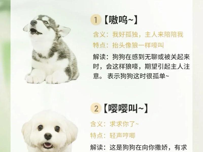 狗爹怎么解析(狗爹怎么解析这个词) 狗爹怎么解析(狗爹怎么解析这个词)