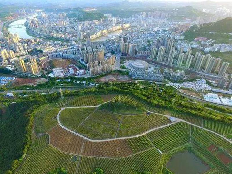 巴中2021年要建哪些城市广场 巴中2021年要建哪些城市广场呢 巴中2021年要建哪些城市广场 巴中2021年要建哪些城市广场呢