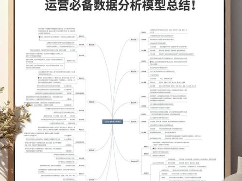 独立站运营技巧、独立站运营技巧分析 独立站运营技巧、独立站运营技巧分析