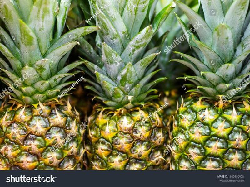 pineapple连读吗 - pineapples怎么读需要连读吗 pineapple连读吗 - pineapples怎么读需要连读吗