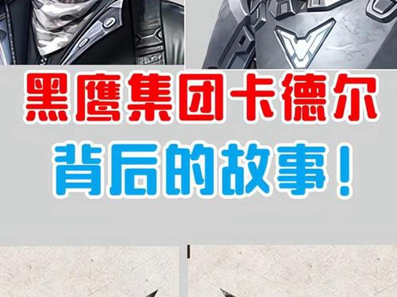 黑鹰网络(黑鹰网络控股公司) 黑鹰网络(黑鹰网络控股公司)