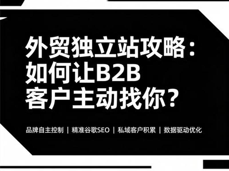 b2b独立建站推广,b2b独立站的定位 b2b独立建站推广,b2b独立站的定位
