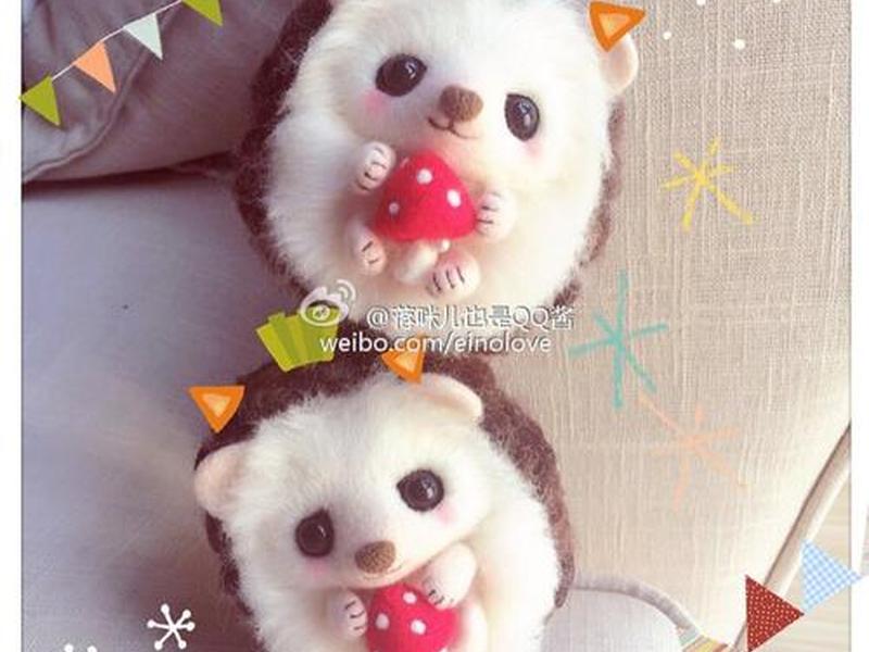 刺猬软件、刺猬是什么软件 刺猬软件、刺猬是什么软件