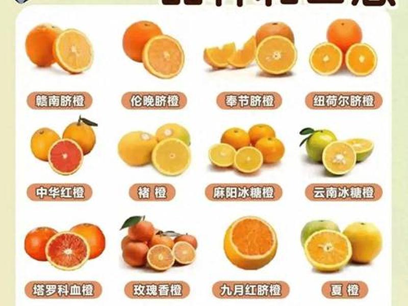 橙子表单是什么；橙子表情什么意思